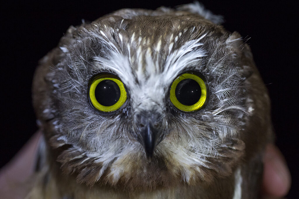 photo by Tom Ambrose