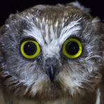 photo by Tom Ambrose